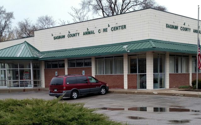 After A Two Year Search, Saginaw County Will Pick A New Animal Care Center Site